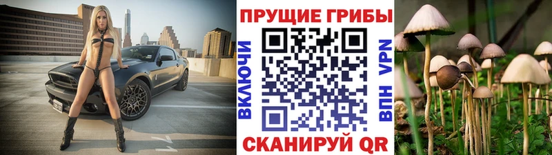 блэк спрут как зайти  как найти   Березники  Псилоцибиновые грибы прущие грибы 